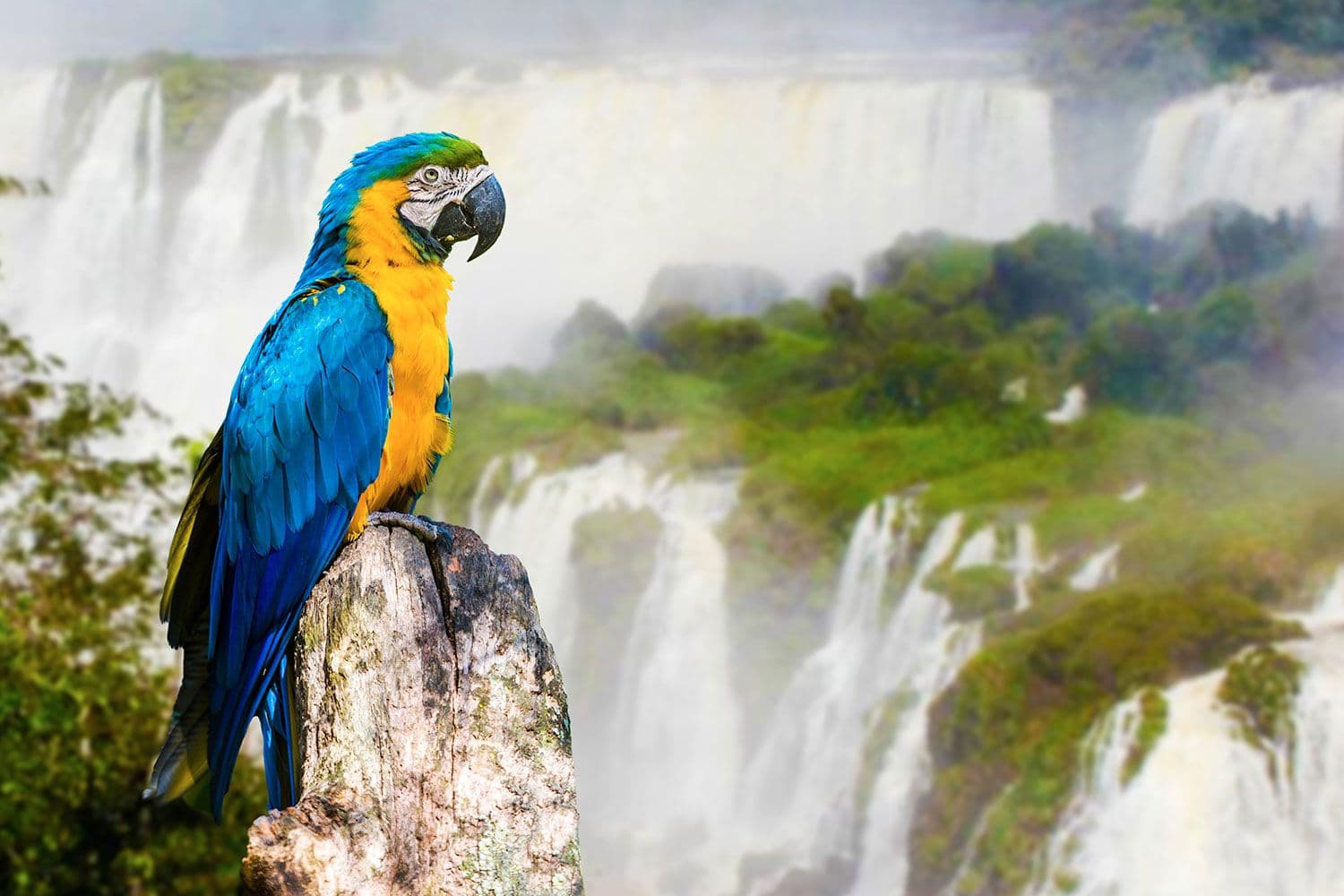 Cataratas del Iguazú